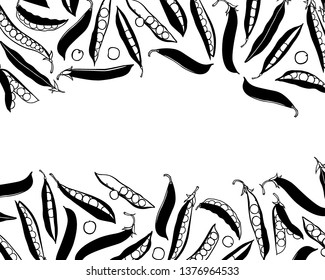 Vector card with hand drawn green pea pods made with pen and ink. Beautiful food design elements