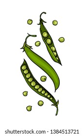 Vector card with hand drawn green pea pods. Beautiful food design elements, ink drawing