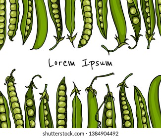 Vector card with hand drawn green pea pods. Beautiful food design elements, ink drawing