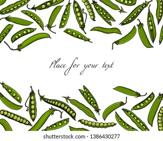 Vector card with hand drawn green pea pods. Beautiful food design elements, ink drawing
