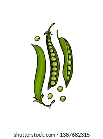 Vector card with hand drawn green pea pods. Beautiful food design elements, ink drawing