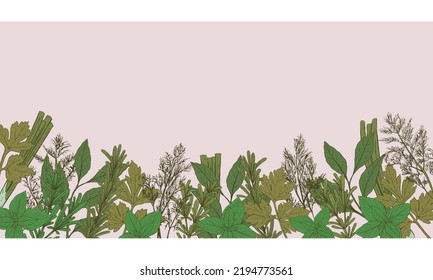 Vector card with hand drawn green herbs. Vector illustration. Doodle monochrome outline ink sketch. Green spice herbs. Design for social media, top of website.