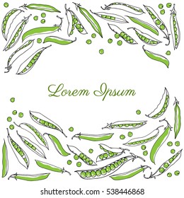 Vector card with hand drawn green pea pods. Vegetarian, healthy food illustration. Beautiful design elements.