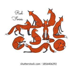 Vector card with hand drawn group of sweet sitting foxes. Beautiful animals design elements, ink drawing. Wonderful illustration of wild animals made in cartoonish style.