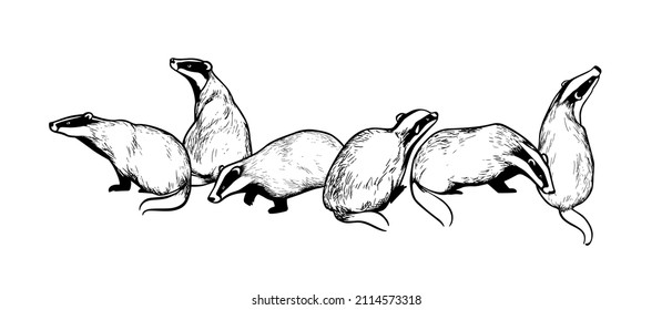 Tarjeta vectorial con grupo de insignias dibujado a mano. Dibujo de tinta, estilo gráfico. Bellos elementos de diseño animal.