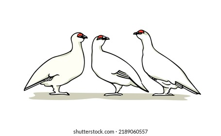 Vector card with hand drawn group of white rock ptarmigans. Ink drawing, decorative graphic style. Beautiful animal design elements, northern destinations travel poster