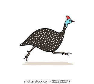 Vector card with hand drawn hastily running helmeted guinea fowl made in cartoon style. Ink drawing, graphic illustration, heavy contour. Beautiful design elements