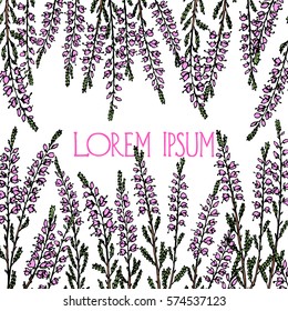Vector card with hand drawn heather branches. Beautiful floral design elements.