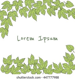 Vector card with hand drawn hop leaves. Graceful illustration of hop leaves. Romantic floral design elements.