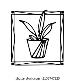 Vector card with hand drawn house plant in painted pot in abstract frame. Ink drawing, graphic style. Beautiful interior design elements.