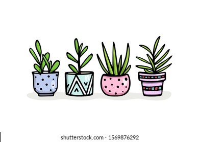 Vector card with hand drawn houseplants in painted pots. Ink drawing, graphic style. Beautiful design elements.