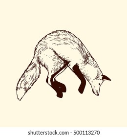 Vector card with hand drawn hunting fox made with pen and ink. Realistic illustration of jumping fox, side view. Beautiful animal illustration