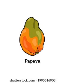 Vector card with hand drawn juicy ripe papaya. Beautiful healthy food design elements, ink drawing. Summer fruit, healthy eating illustration. 