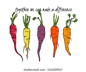 Vector card with hand drawn juicy colorful carrots made in graphic way. Ink drawing. Beautiful healthy food or farm markets design elements