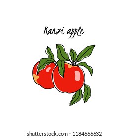 Vector card with hand drawn Kanzi apple. Beautiful food design elements. Ink drawing