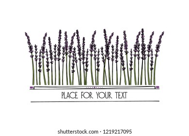 Vector card with hand drawn lavender leaves and flowers. Delicate and romantic floral design elements. 