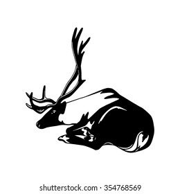 Vector card with hand drawn laying reindeer. Beautiful ink animalistic drawing.