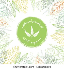 Vector card with hand drawn leaves and herbs and organic natural product green label. Packaging design template, frame for cosmetics, beauty products, organic and healthy food.