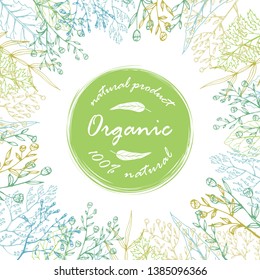 Vector card with hand drawn leaves and herbs and organic natural product green label. Packaging design template, frame for cosmetics, beauty products, organic and healthy food.