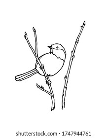 Vector card with hand drawn little bird on a tree branch. Ink drawing, beautiful animal design elements. Logo template