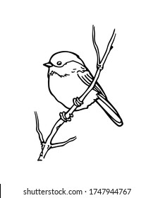 Vector card with hand drawn little bird on a tree branch. Ink drawing, beautiful animal design elements. Logo template