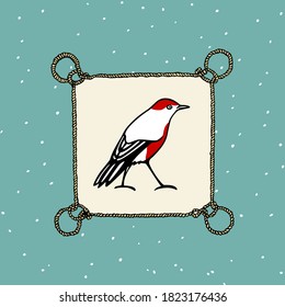 Vector card with hand drawn little bird with red breast in nautical rope frame made with ink. Perfect animal and Christmas design elements.