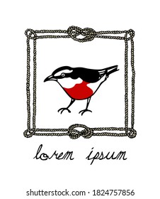 Vector card with hand drawn little bird with red breast in nautical rope frame made with ink. Perfect animal and Christmas design elements.