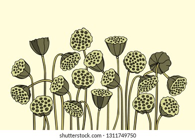 Vector card with hand drawn lotus seed pods. Beautiful floral design elements, ink drawing, logo template