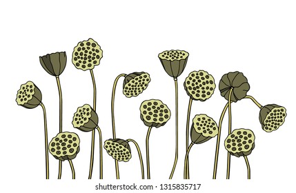 Vector card with hand drawn lotus seed pods. Beautiful floral design elements, ink drawing, logo template