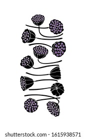 Vector card with hand drawn lotus seed pods. Beautiful floral design elements, ink drawing.