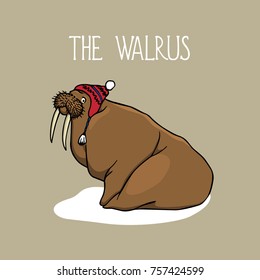 Vector card with hand drawn lovely walrus in knitted Norwegian hat. Beautiful ink drawing, animal illustration