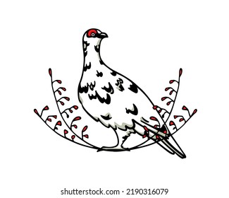 Vector card with hand drawn motley rock ptarmigan in floral red berries wreath. Ink drawing, decorative graphic style. Beautiful northern wild nature design elements