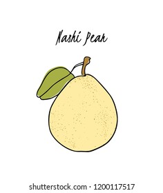 Vector card with hand drawn Nashi pear. Beautiful food design elements. Ink drawing