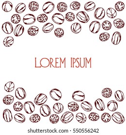 Vector card with hand drawn nutmeg. Beautiful food design elements, perfect for any business related to the food industry.