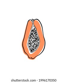 Vector card with hand drawn open ripe papaya with black seeds. Beautiful healthy food design elements, summer fruit illustration. Ink drawing, graphic style