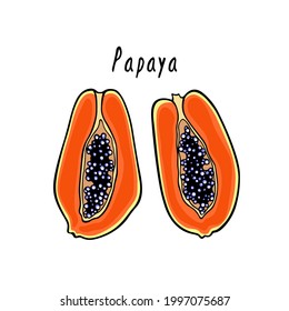 Vector card with hand drawn open ripe papaya with black seeds. Beautiful healthy food design elements, summer fruit illustration. Ink drawing, graphic style