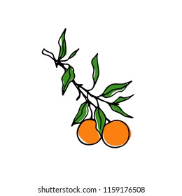 Vector card with hand drawn orange tree branch. Ink drawing, graphic style, beautiful design elements