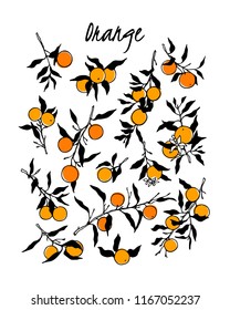 Vector card with hand drawn orange tree branches. Ink drawing, graphic style, beautiful design elements