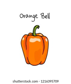 Vector card with hand drawn orange bell pepper. Ink drawing, graphic style, beautiful design element