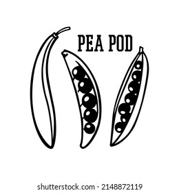 Vector card with hand drawn pea pods made in graphic way. Ink drawing, heavy contour. Beautiful healthy food or farm markets design elements