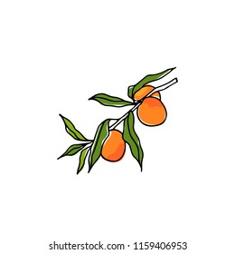 Vector card with hand drawn peach tree branch. Ink drawing, graphic style, beautiful design elements