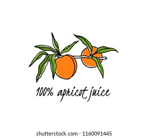 Vector card with hand drawn peach tree branch. Ink drawing, graphic style, beautiful design elements