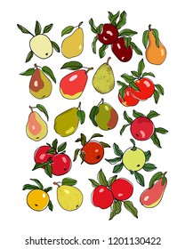 Vector card with hand drawn pear and apple cultivars. Beautiful food design elements. Ink drawing