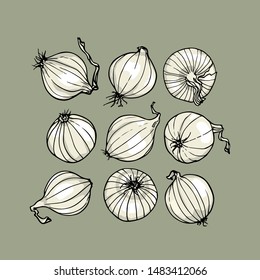 Vector card with hand drawn Pearl onion bulbs. Beautiful food design elements, ink drawing