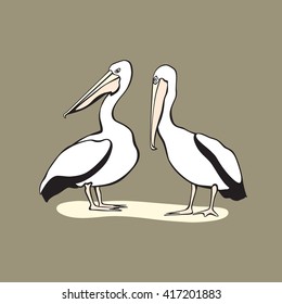 Vector card with hand drawn pelicans looking in one direction. Cute characters, beautiful design elements.
