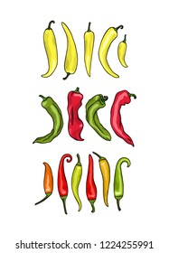 Vector card with hand drawn pepper cultivars. Ink drawing, graphic style, beautiful design elements