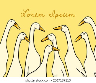 Vector card with a hand drawn portrait of a group of cute white Indian Runner ducks. Ink drawing, graphic style. Beautiful farm products design elements. svg