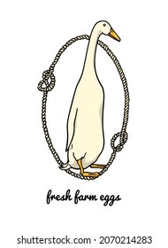 Vector card with hand drawn portrait of a cute white Indian Runner duck in nautical rope frame. Ink drawing, graphic style. Beautiful farm products design elements.