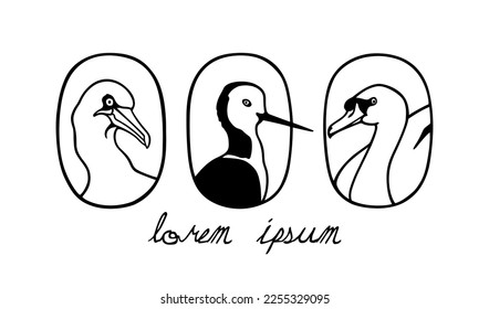 Vector card with hand drawn portraits of graceful birds in austere ellipse frames. Beautiful wild animal illustration, ink drawing, graphic style. 