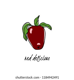 Vector card with hand drawn Red Delicious apple. Beautiful food design elements. Ink drawing